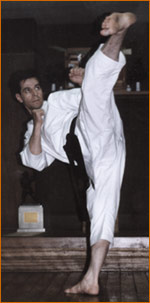 Sensei Tanzadeh performing Yoko geri Jodan.